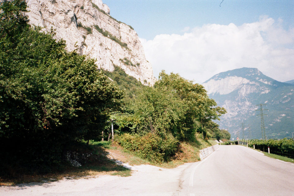 Die oberitalienische Weinstraße und Kalksteinfelsen im Trentino