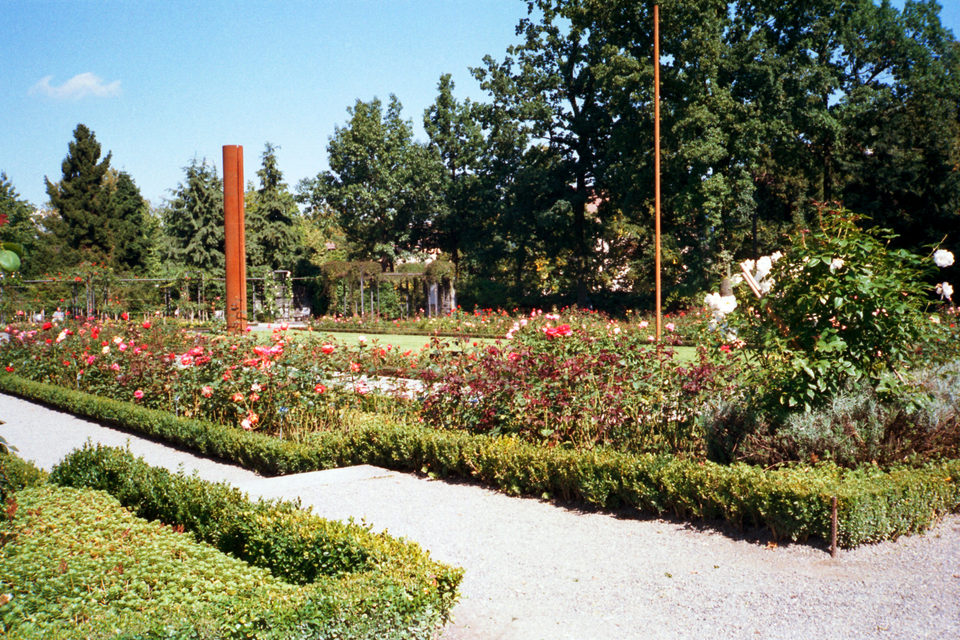 Der Rosengarten in Bern